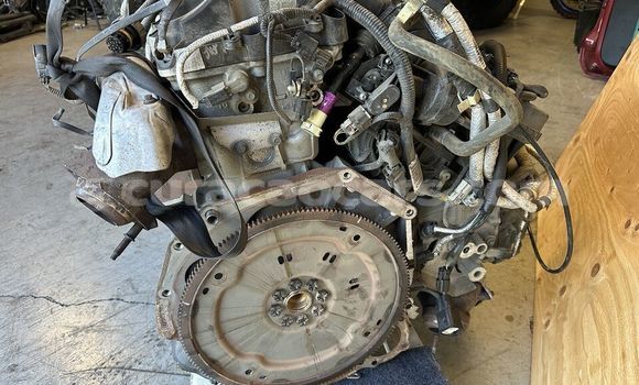 Buy FORD F150 5.0L in Willemstad in Curacao Buy FORD F150 5.0L in Willemstad in Curacao