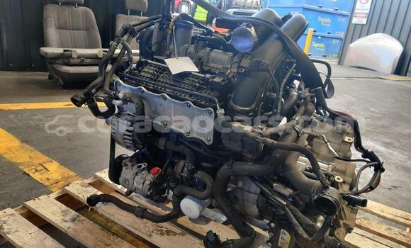 Buy Volkswagen Golf Turbo in Willemstad in Curacao Buy Volkswagen Golf Turbo in Willemstad in Curacao