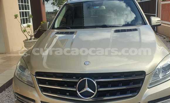 Buy Used Mercedes-Benz ML–Class Beige Car in Willemstad in Curacao