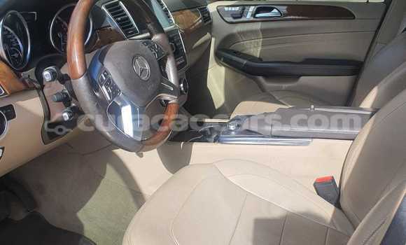 Buy Used Mercedes-Benz ML–Class Beige Car in Willemstad in Curacao Buy Used Mercedes-Benz ML–Class Beige Car in Willemstad in Curacao