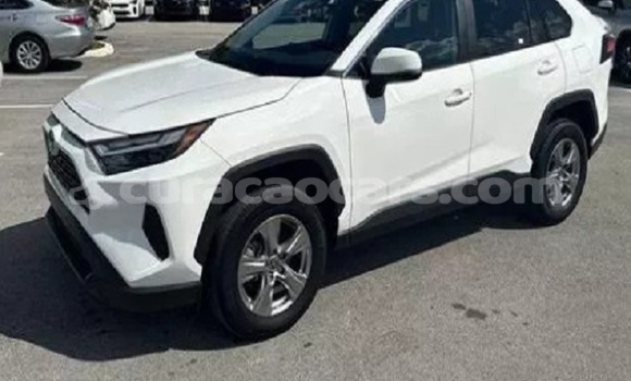 Buy Used Toyota RAV4 White Car in Sabana Westpunt in Curacao
