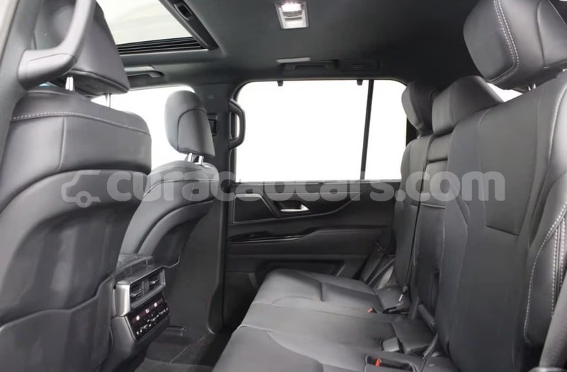 Big with watermark lexus lx curacao sint michiel liber 4460