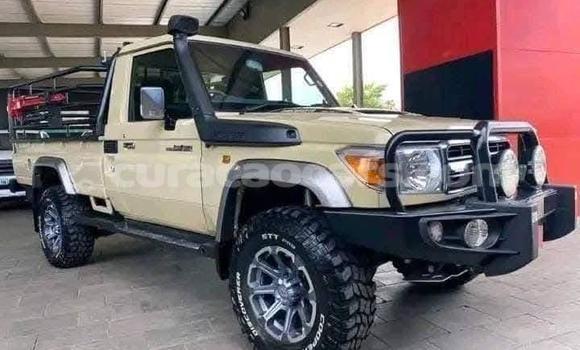 Buy Used Toyota Land Cruiser Beige Car in Willemstad in Curacao