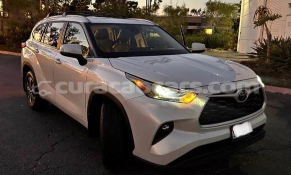 Buy Used Toyota Highlander White Car in Dorp Soto in Curacao