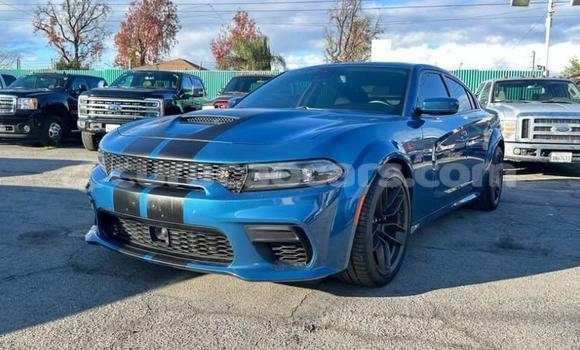 Buy Used Dodge Charger Blue Car in Lagún in Curacao