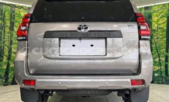Buy Used Toyota Land Cruiser Prado Black Car in Willemstad in Curacao Buy Used Toyota Land Cruiser Prado Black Car in Willemstad in Curacao