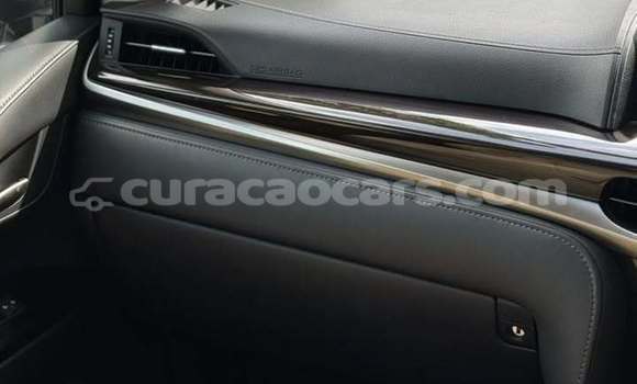 Buy Used Lexus LX 570 White Car in Sabana Westpunt in Curacao Buy Used Lexus LX 570 White Car in Sabana Westpunt in Curacao