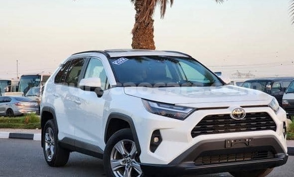 Buy Used Toyota RAV4 White Car in Willemstad in Curacao