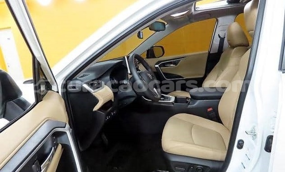 Buy Used Toyota RAV4 White Car in Willemstad in Curacao Buy Used Toyota RAV4 White Car in Willemstad in Curacao