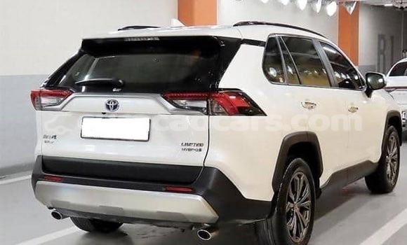 Buy Used Toyota RAV4 White Car in Willemstad in Curacao Buy Used Toyota RAV4 White Car in Willemstad in Curacao