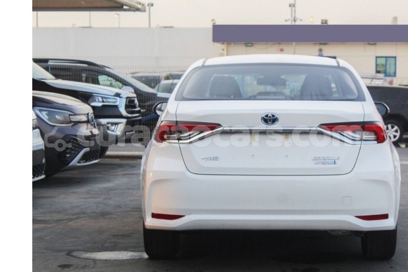 Big with watermark toyota corolla curacao willemstad 4489