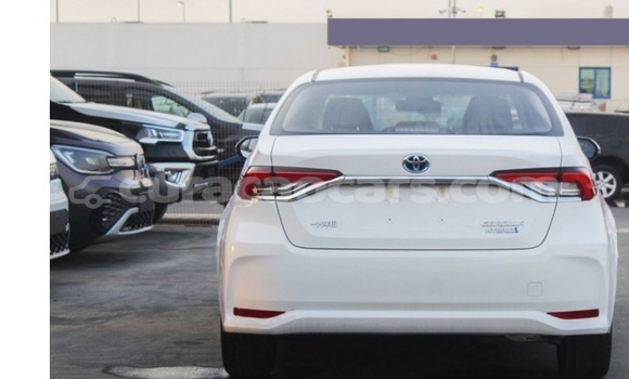 Buy Used Toyota Corolla White Car in Willemstad in Curacao Buy Used Toyota Corolla White Car in Willemstad in Curacao