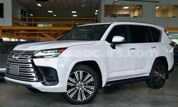 Buy Used Lexus LX White Car in Willemstad in Curacao