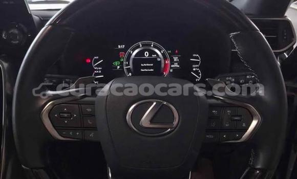 Buy Used Lexus LX White Car in Willemstad in Curacao Buy Used Lexus LX White Car in Willemstad in Curacao