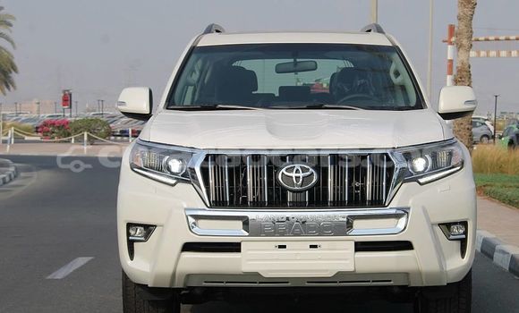 Buy Used Toyota Land Cruiser Prado White Car in Willemstad in Curacao