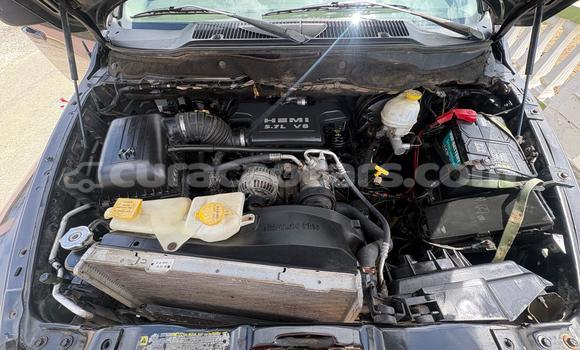 Buy Used Caterpillar 120 Silver Truck in Willemstad in Curacao Buy Used Caterpillar 120 Silver Truck in Willemstad in Curacao