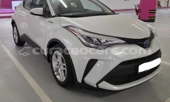 Buy Used Toyota C-HR White Car in Willemstad in Curacao