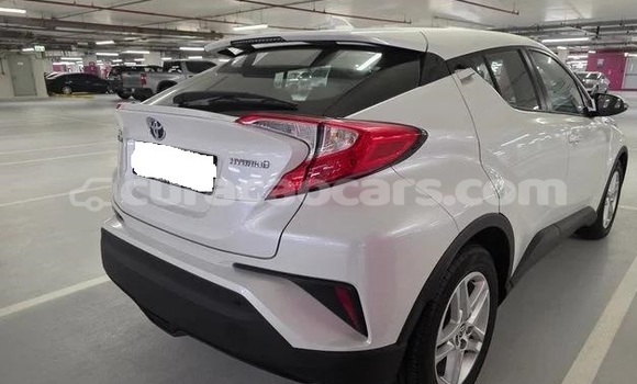 Buy Used Toyota C-HR White Car in Willemstad in Curacao Buy Used Toyota C-HR White Car in Willemstad in Curacao