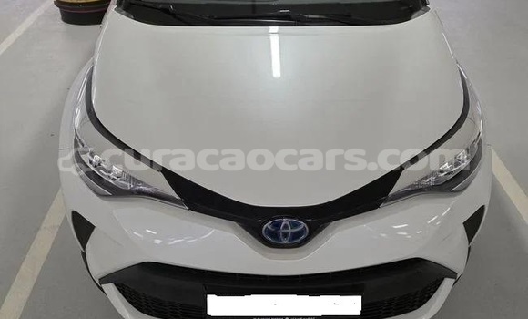 Buy Used Toyota C-HR White Car in Willemstad in Curacao Buy Used Toyota C-HR White Car in Willemstad in Curacao
