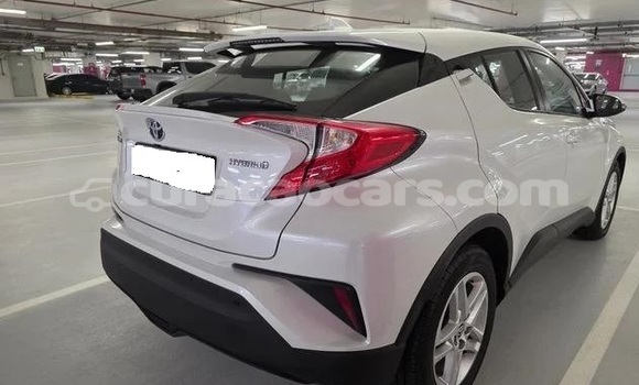 Buy Used Toyota C-HR White Car in Willemstad in Curacao Buy Used Toyota C-HR White Car in Willemstad in Curacao