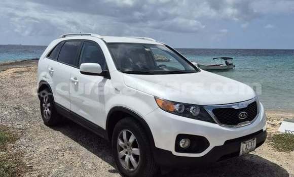 Buy Used Kia Sorento White Car in Barber in Curacao Buy Used Kia Sorento White Car in Barber in Curacao