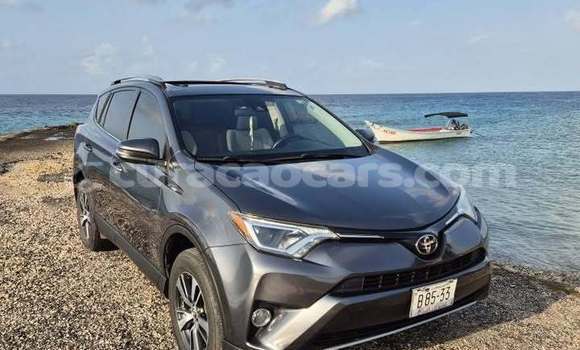 Buy Used Toyota RAV4 Other Car in Sabana Westpunt in Curacao Buy Used Toyota RAV4 Other Car in Sabana Westpunt in Curacao