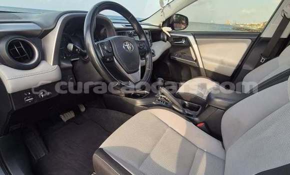 Buy Used Toyota RAV4 Other Car in Sabana Westpunt in Curacao Buy Used Toyota RAV4 Other Car in Sabana Westpunt in Curacao