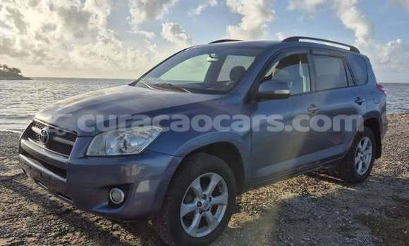 Buy Used Toyota RAV4 Blue Car in Sabana Westpunt in Curacao