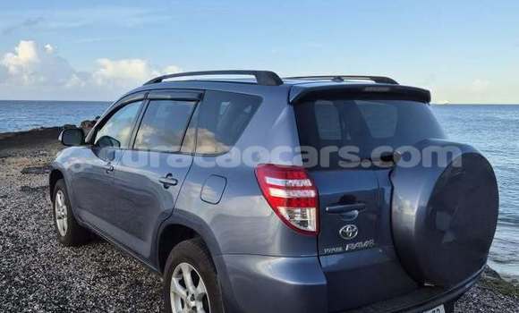 Buy Used Toyota RAV4 Blue Car in Sabana Westpunt in Curacao Buy Used Toyota RAV4 Blue Car in Sabana Westpunt in Curacao