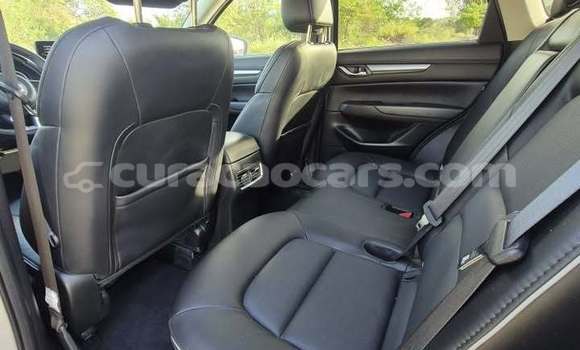 Buy Used Mazda CX-5 Other Car in Lagún in Curacao Buy Used Mazda CX-5 Other Car in Lagún in Curacao