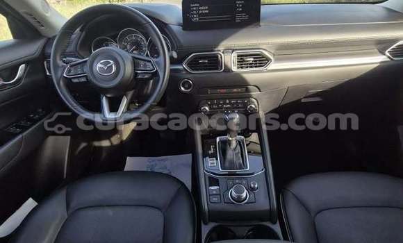 Buy Used Mazda CX-5 Other Car in Lagún in Curacao Buy Used Mazda CX-5 Other Car in Lagún in Curacao