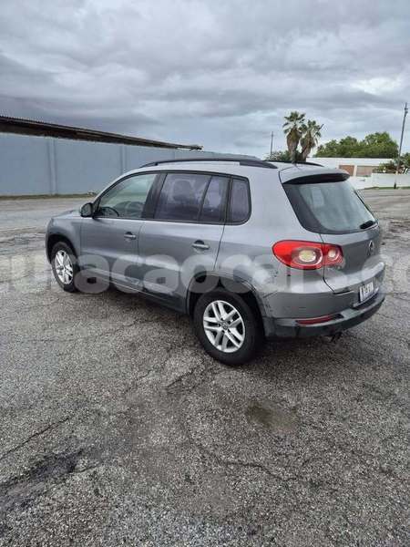 Big with watermark volkswagen tiguan curacao dorp soto 4516