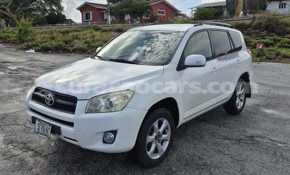 Buy Used Toyota RAV4 White Car in Willemstad in Curacao