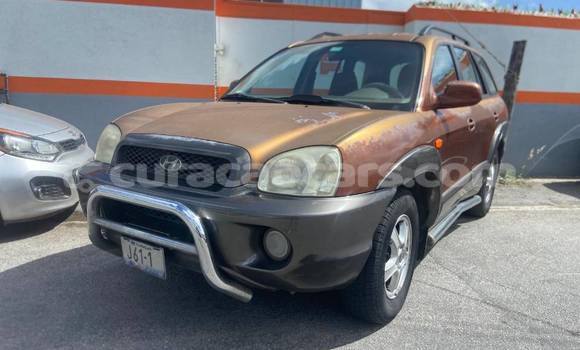 Buy Used Hyundai Santa Fe Other Car in Dorp Soto in Curacao