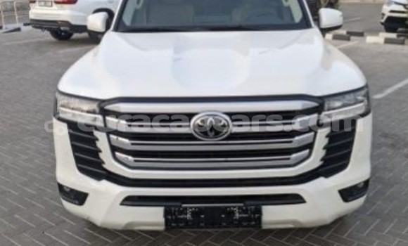 Buy Used Toyota Land Cruiser White Car in Willemstad in Curacao