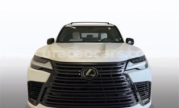 Buy Used Lexus LX White Car in Willemstad in Curacao