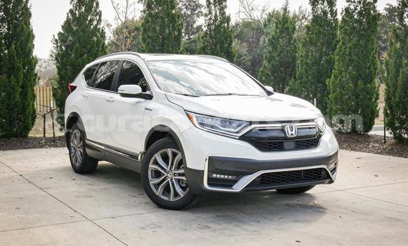 Buy Used Honda CR–V White Car in Willemstad in Curacao