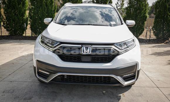 Buy Used Honda CR–V White Car in Willemstad in Curacao Buy Used Honda CR–V White Car in Willemstad in Curacao
