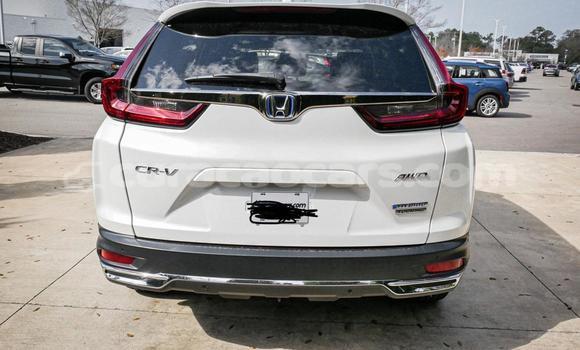 Buy Used Honda CR–V White Car in Willemstad in Curacao Buy Used Honda CR–V White Car in Willemstad in Curacao