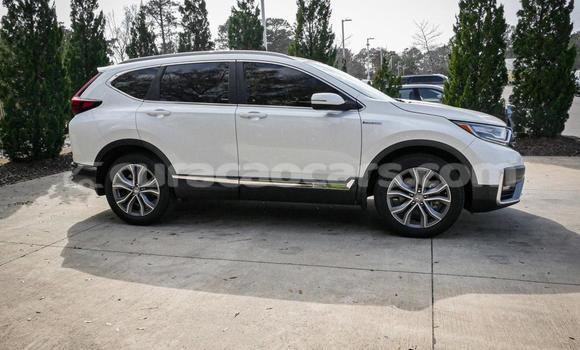 Buy Used Honda CR–V White Car in Willemstad in Curacao Buy Used Honda CR–V White Car in Willemstad in Curacao
