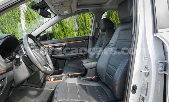 Buy Used Honda CR–V White Car in Willemstad in Curacao Buy Used Honda CR–V White Car in Willemstad in Curacao