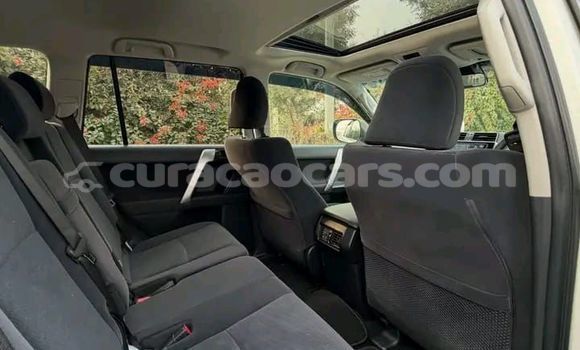 Buy Used Toyota Land Cruiser Prado White Car in Willemstad in Curacao Buy Used Toyota Land Cruiser Prado White Car in Willemstad in Curacao
