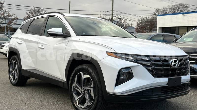 Big with watermark hyundai tucson curacao willemstad 4538