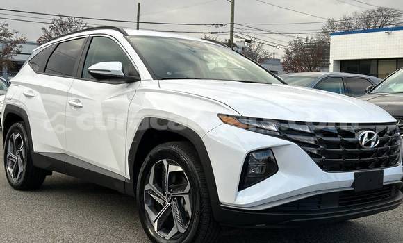 Buy Used Hyundai Tucson White Car in Willemstad in Curacao