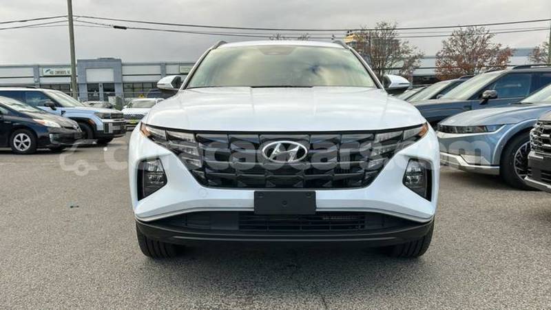 Big with watermark hyundai tucson curacao willemstad 4538