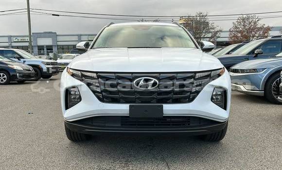 Buy Used Hyundai Tucson White Car in Willemstad in Curacao Buy Used Hyundai Tucson White Car in Willemstad in Curacao