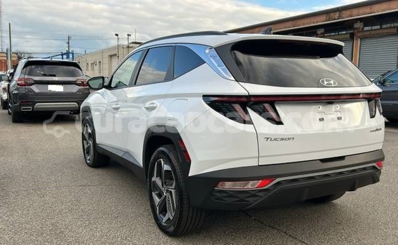 Big with watermark hyundai tucson curacao willemstad 4538