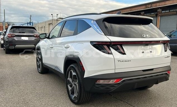 Buy Used Hyundai Tucson White Car in Willemstad in Curacao Buy Used Hyundai Tucson White Car in Willemstad in Curacao