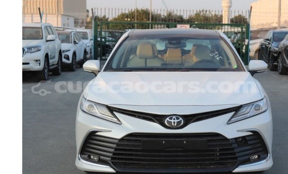 Buy Used Toyota Camry White Car in Willemstad in Curacao