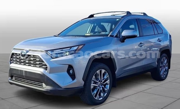 Buy Used Toyota RAV4 Silver Car in Willemstad in Curacao